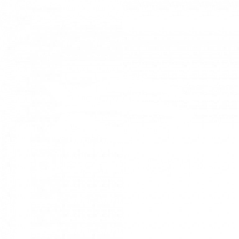 logo globalzepp blanco